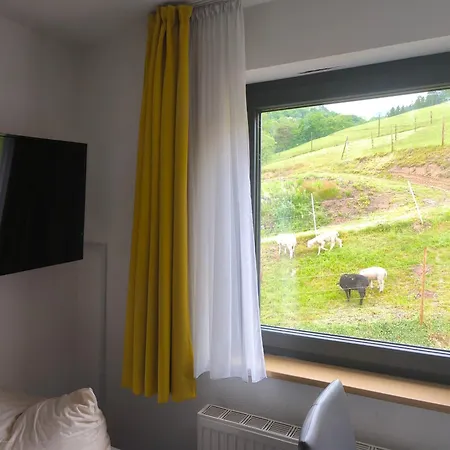 Hotel Sonne Wolfach Room photo